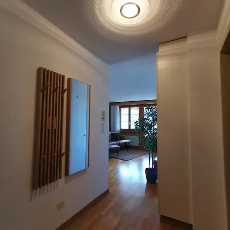 ホテル Brienzersee 3*