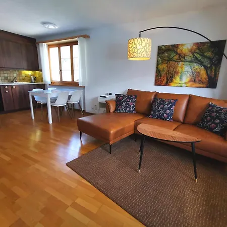 ホテル Brienzersee 3*