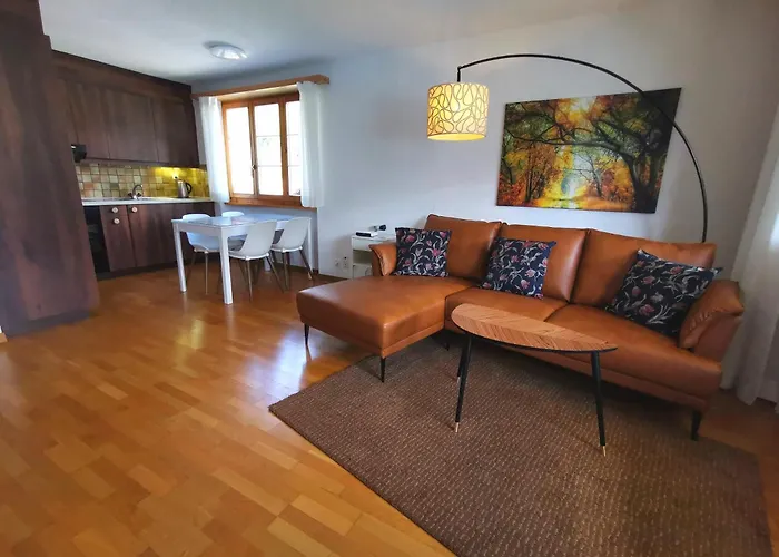 酒店 Brienzersee 3*