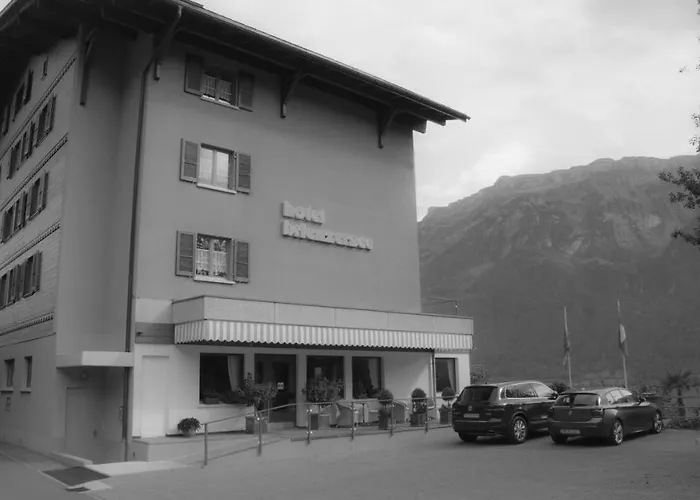 Brienzersee 酒店 3*