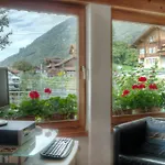 Hotel Brienzersee 3*