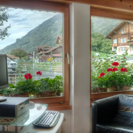 מלון Brienzersee 3*