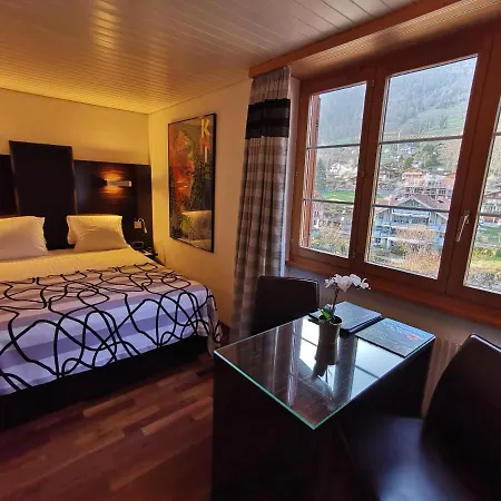 Brienzersee 3* רינגנברג